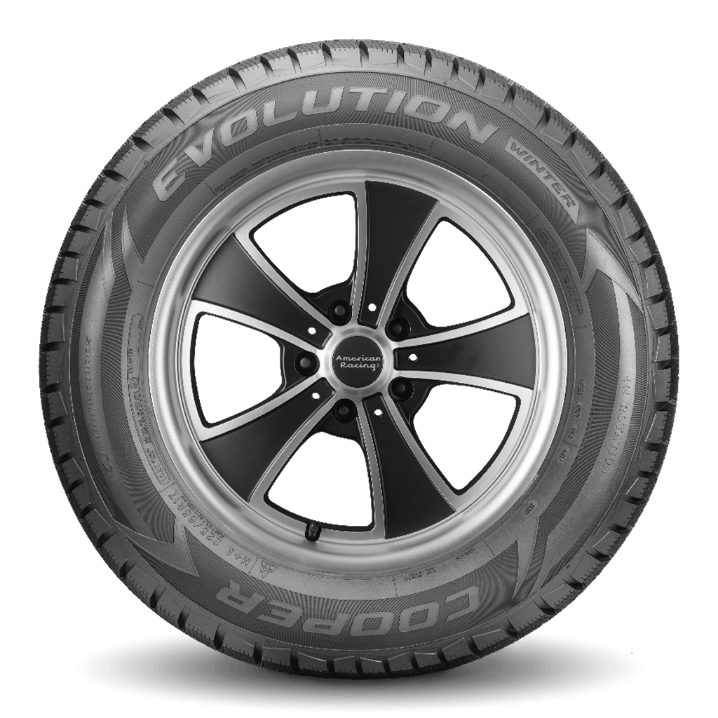 Miniatura 3 para Evolution Winter™